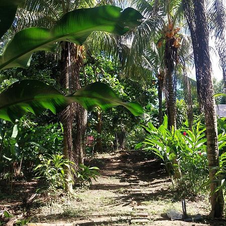 Jardin De Las Musas Πουέρτο Μαλντονάντο Εξωτερικό φωτογραφία