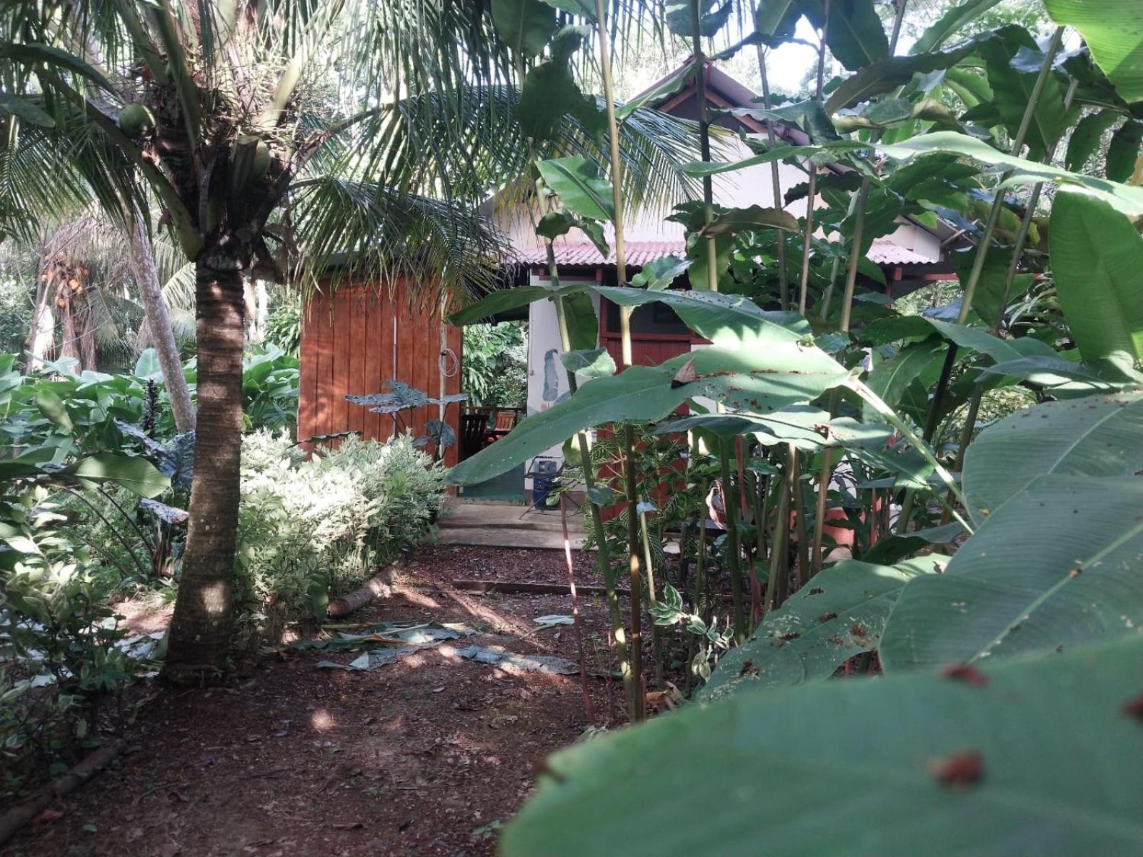 Jardin De Las Musas Πουέρτο Μαλντονάντο Δωμάτιο φωτογραφία